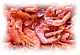 Pickled & Preserved