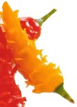 Simple chili pepper garnish