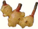 Purchase Fresh Galangal