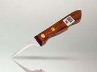 Bird's Beak Fruit Carving Knife