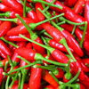 Pound of Thai Chili Peppers Fresh
